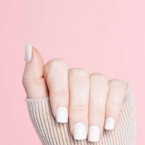 PETITE Holidaisy: Red Aspen : NEW